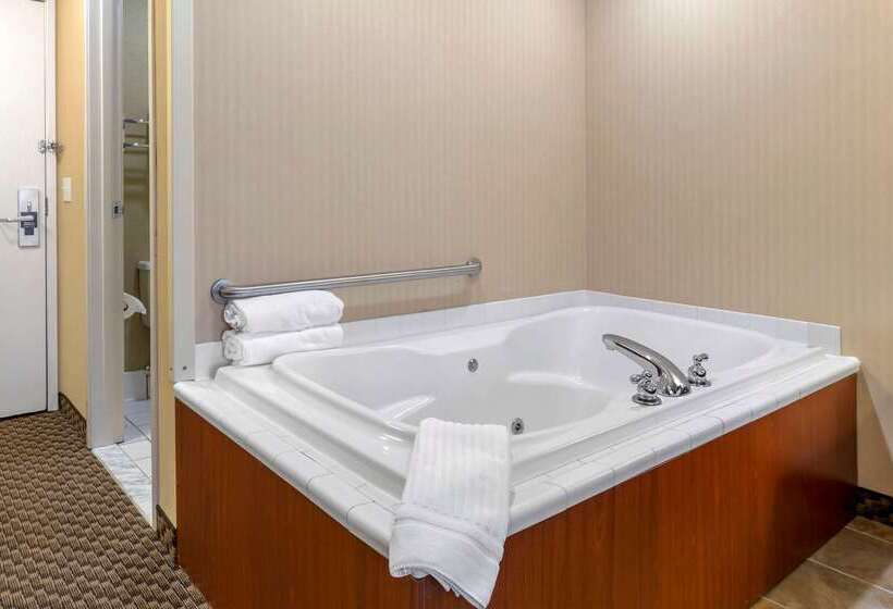 酒店 Comfort Inn Traverse City