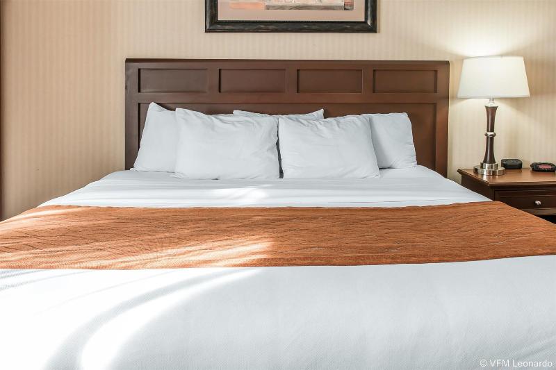 酒店 Comfort Inn Traverse City