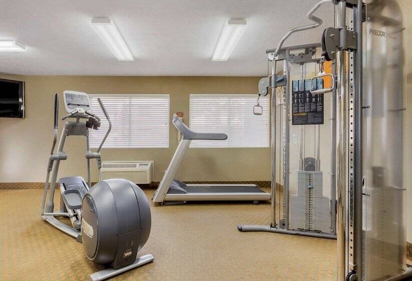 酒店 Comfort Inn Traverse City