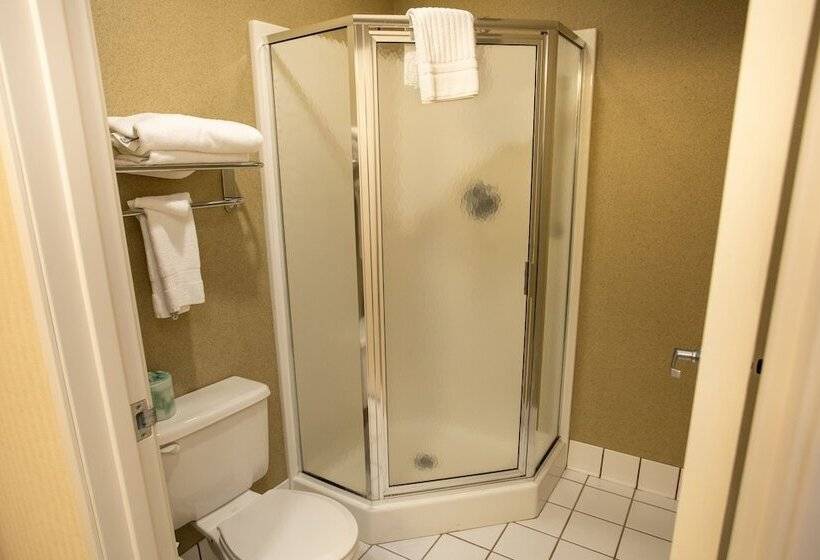 酒店 Comfort Inn Traverse City