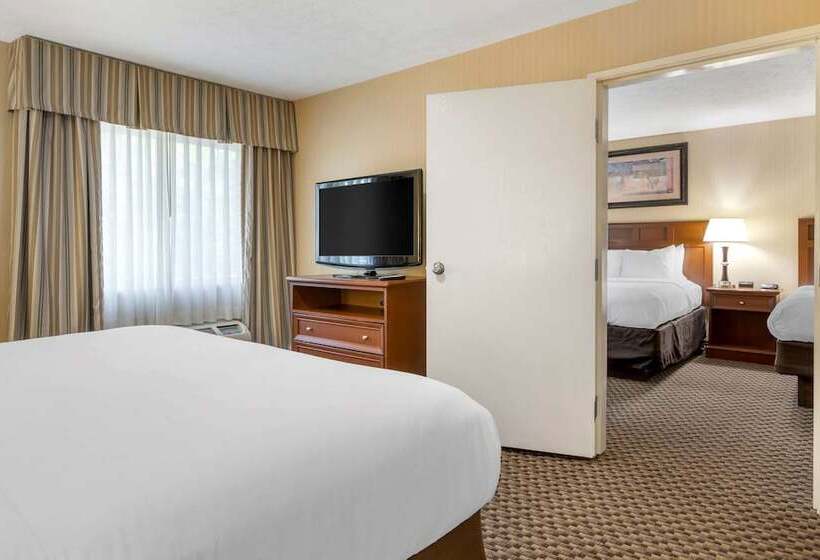 酒店 Comfort Inn Traverse City