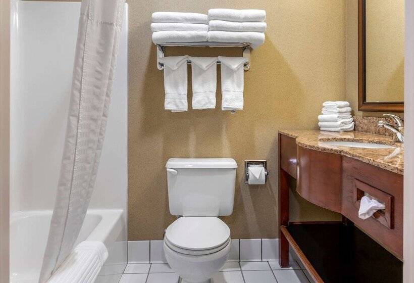 酒店 Comfort Inn Traverse City