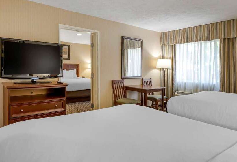 酒店 Comfort Inn Traverse City