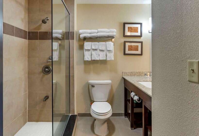 ホテル Comfort Suites Batesville