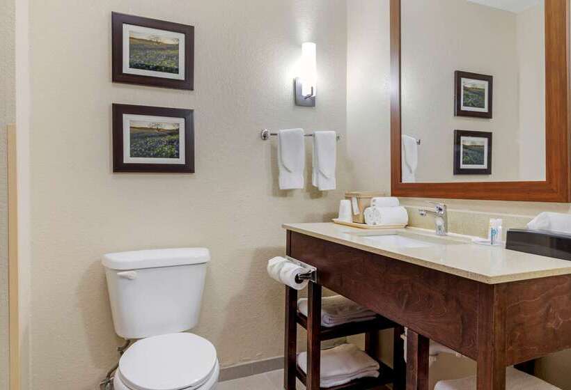 فندق Comfort Suites