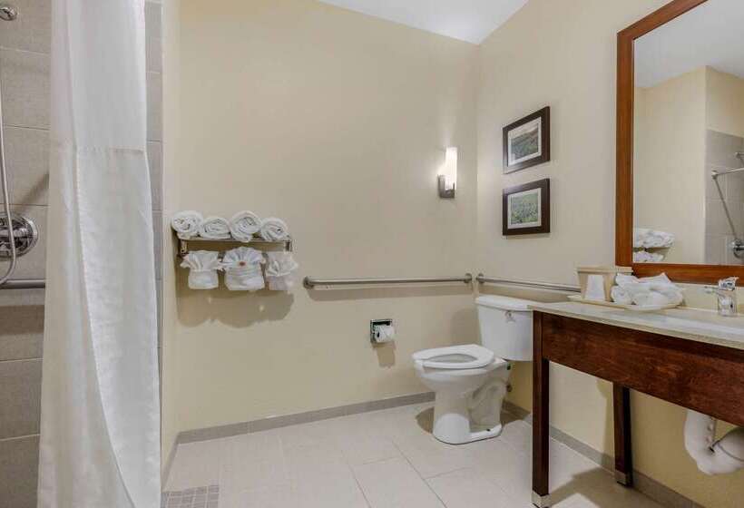 호텔 Comfort Suites