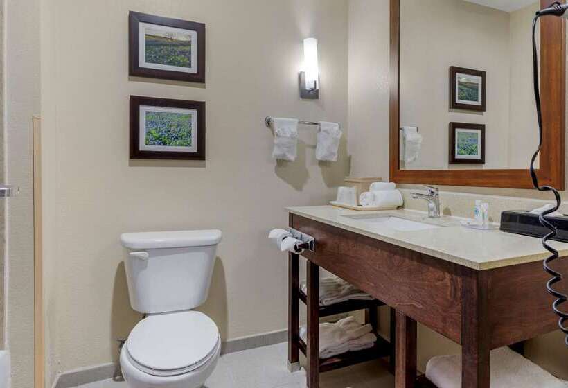 فندق Comfort Suites