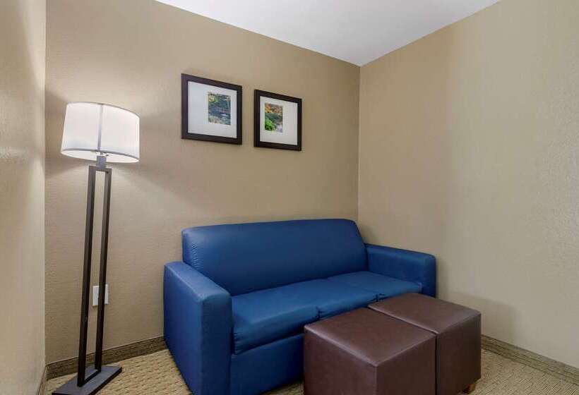 호텔 Comfort Suites