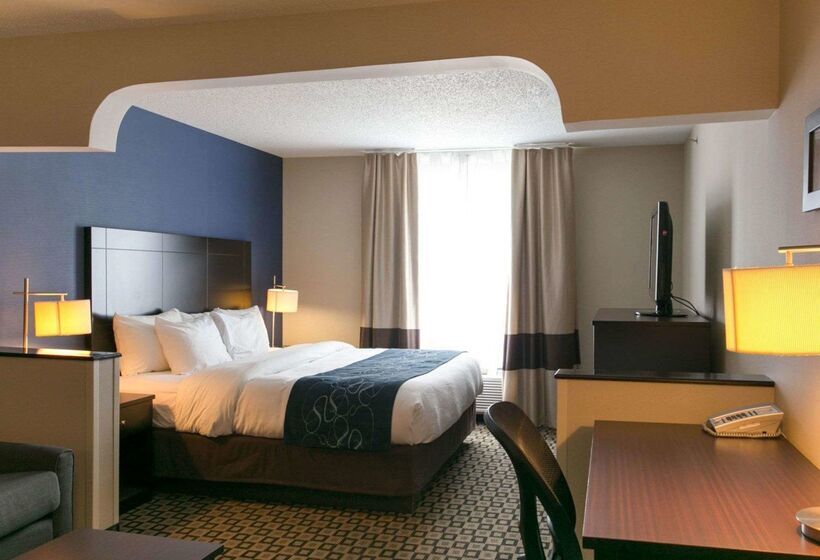 فندق Comfort Suites Benton Harbor  St. Joseph