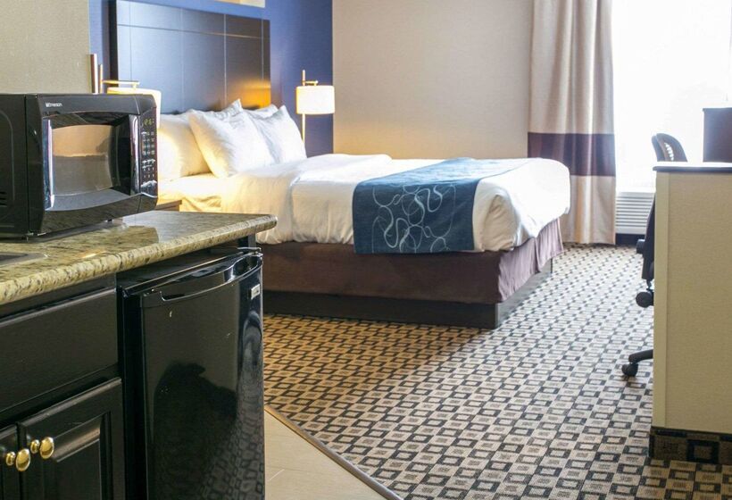 בית מלון כפרי Comfort Suites Benton Harbor  St. Joseph