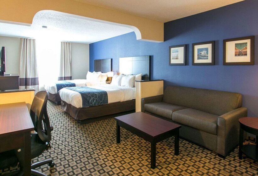 בית מלון כפרי Comfort Suites Benton Harbor  St. Joseph