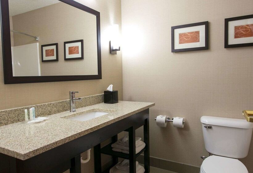 בית מלון כפרי Comfort Suites Benton Harbor  St. Joseph
