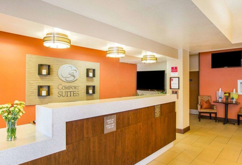 酒店 Comfort Suites