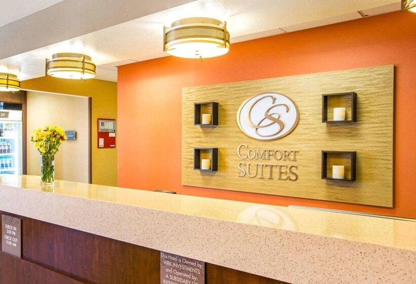 酒店 Comfort Suites
