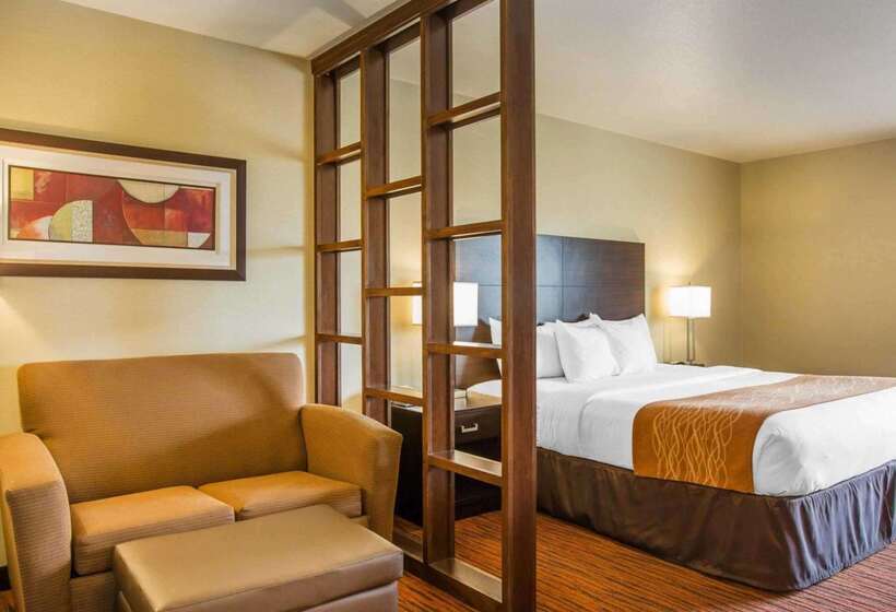 酒店 Comfort Suites