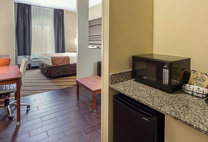 فندق Comfort Suites Near Tanger Outlet Mall