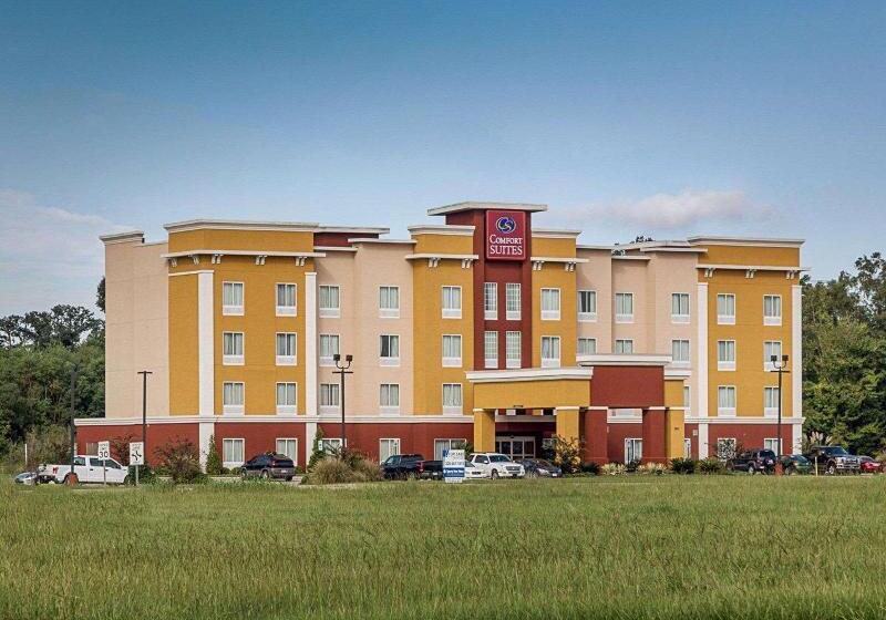 בית מלון כפרי Comfort Suites Near Tanger Outlet Mall