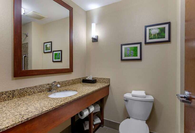 ホテル Comfort Suites Manhattan