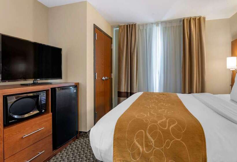 ホテル Comfort Suites Manhattan