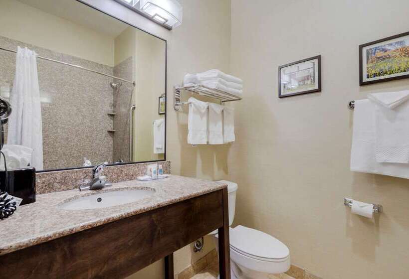 Отель Comfort Suites Pflugerville Austin North