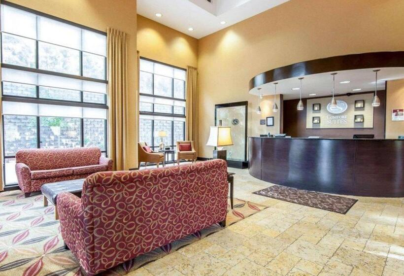 호텔 Comfort Suites