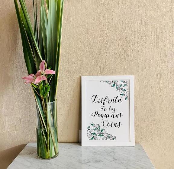 בית מלון כפרי Costanera