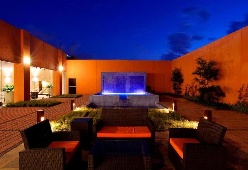 酒店 Courtyard Toluca Tollocan