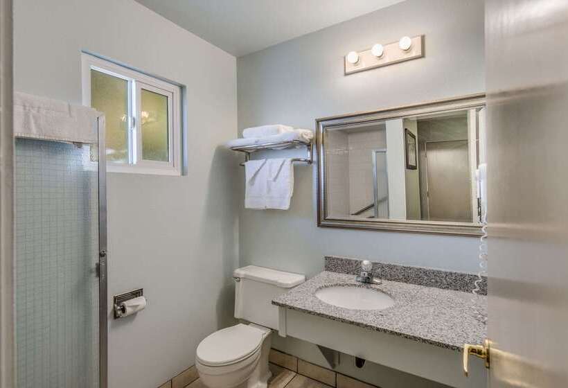 酒店 Econo Lodge Inn & Suites