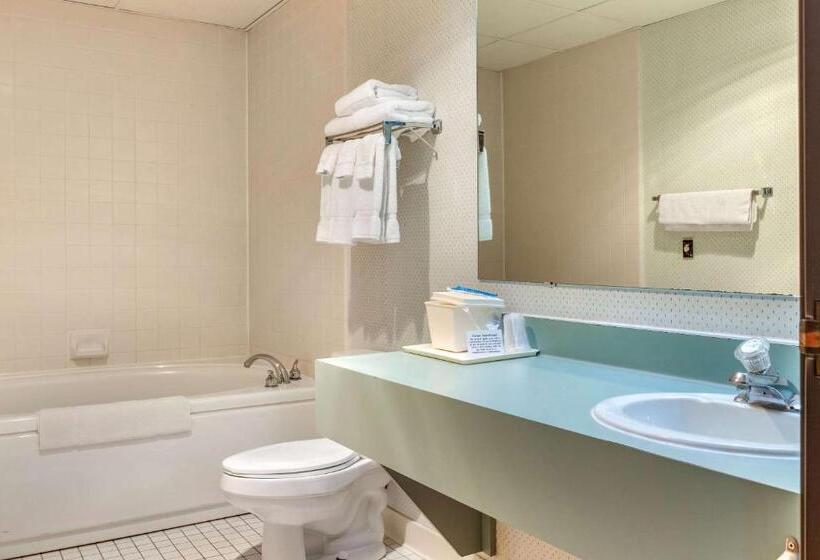 فندق Econo Lodge Wausau   Rothschild