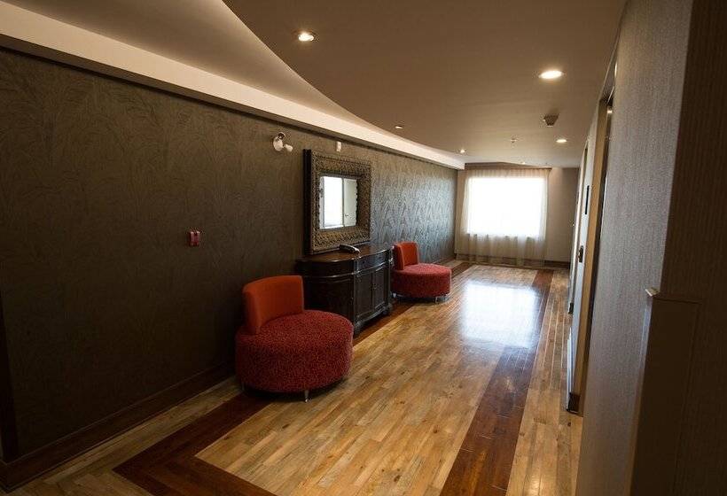 فندق Hampton Inn By Hilton Sydney