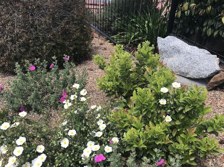 فندق Hideaway Motor Inn