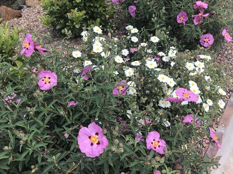 فندق Hideaway Motor Inn