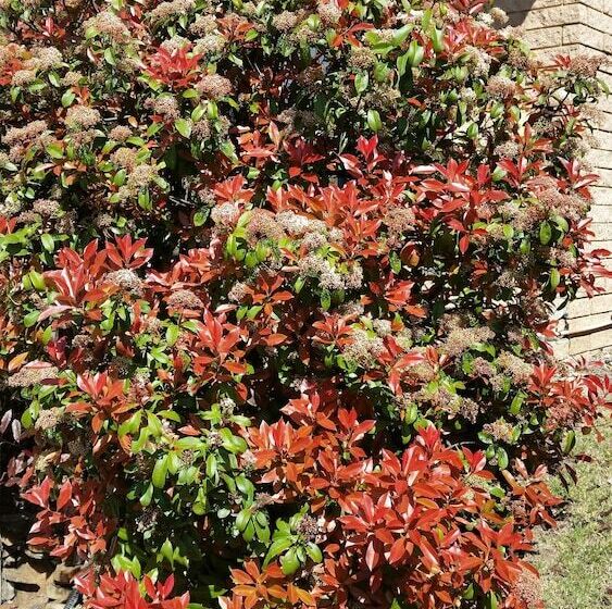 فندق Hideaway Motor Inn