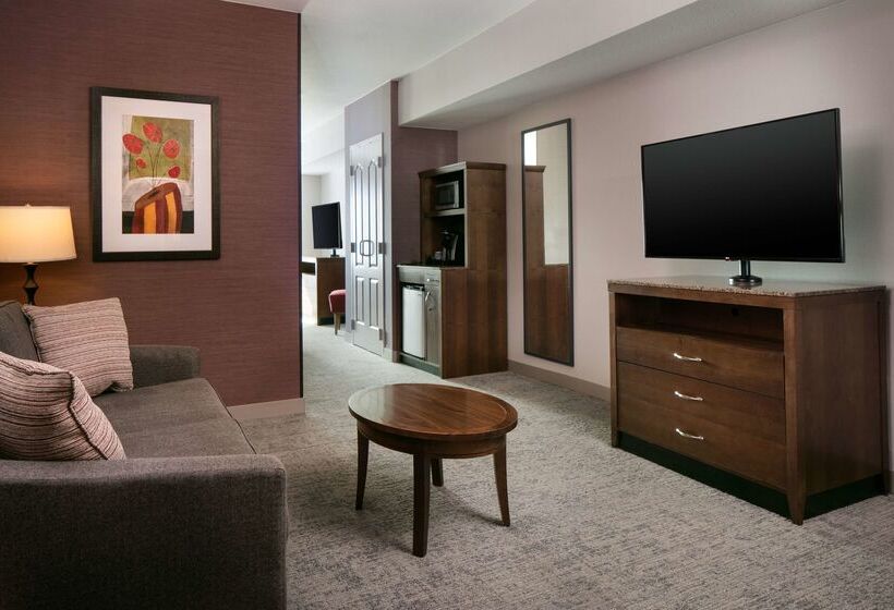 ホテル Hilton Garden Inn Manhattan