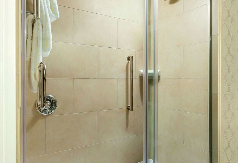 Отель Hilton Garden Inn Washington Dc/georgetown Area