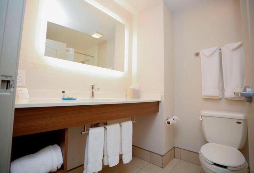 Holiday Inn Express Hotel & Suites Carlsbad, An Ihg