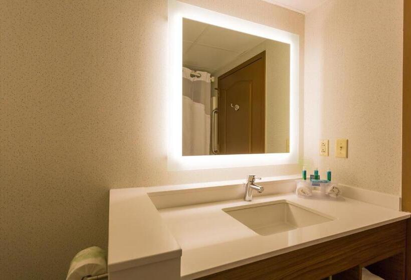 Holiday Inn Express Hotel & Suites Reading, An Ihg