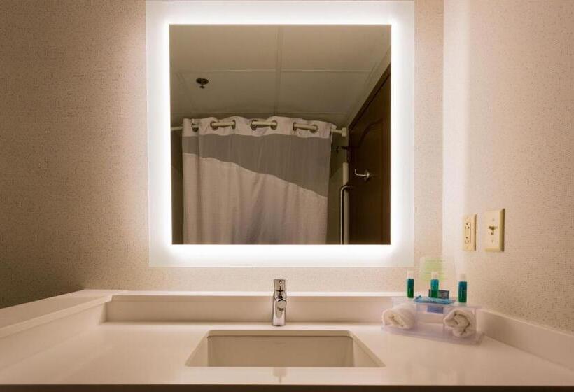 Holiday Inn Express Hotel & Suites Reading, An Ihg