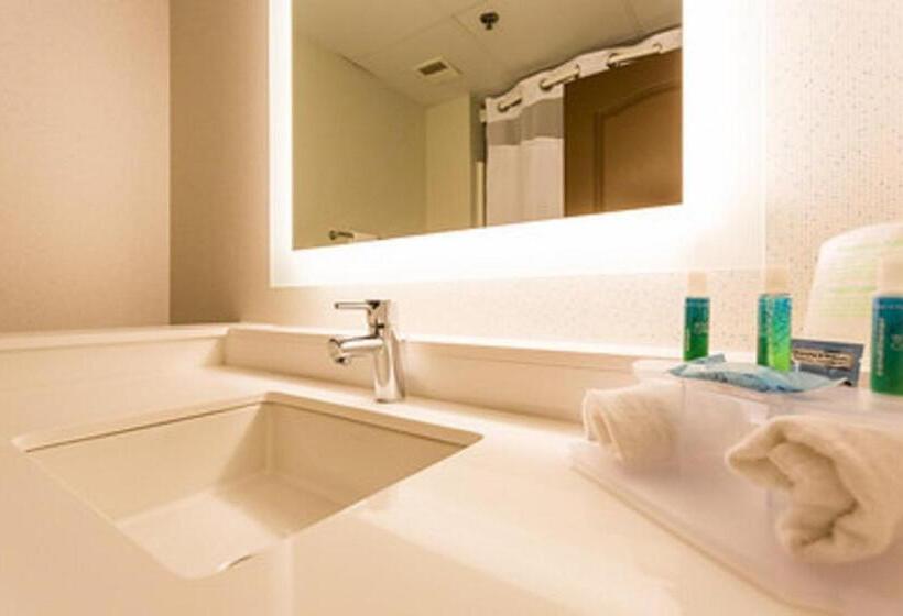 Holiday Inn Express Hotel & Suites Reading, An Ihg