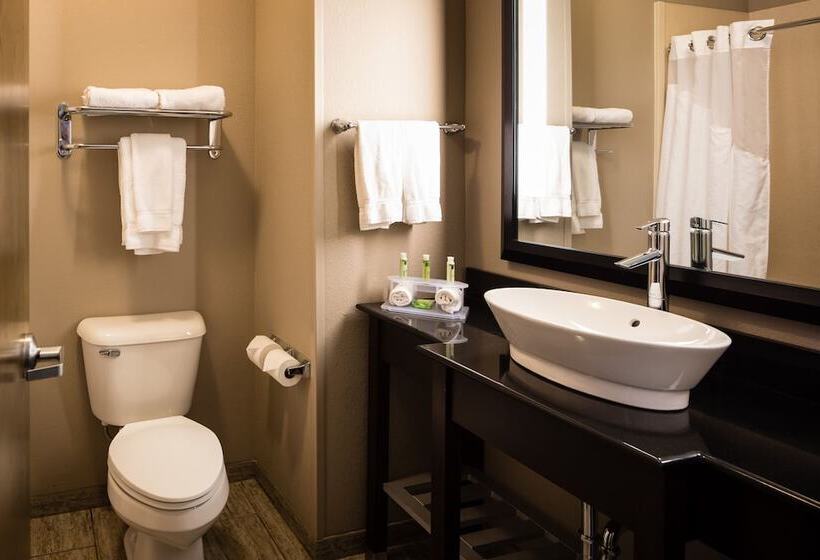 Holiday Inn Express Hotel & Suites El Reno By Ihg