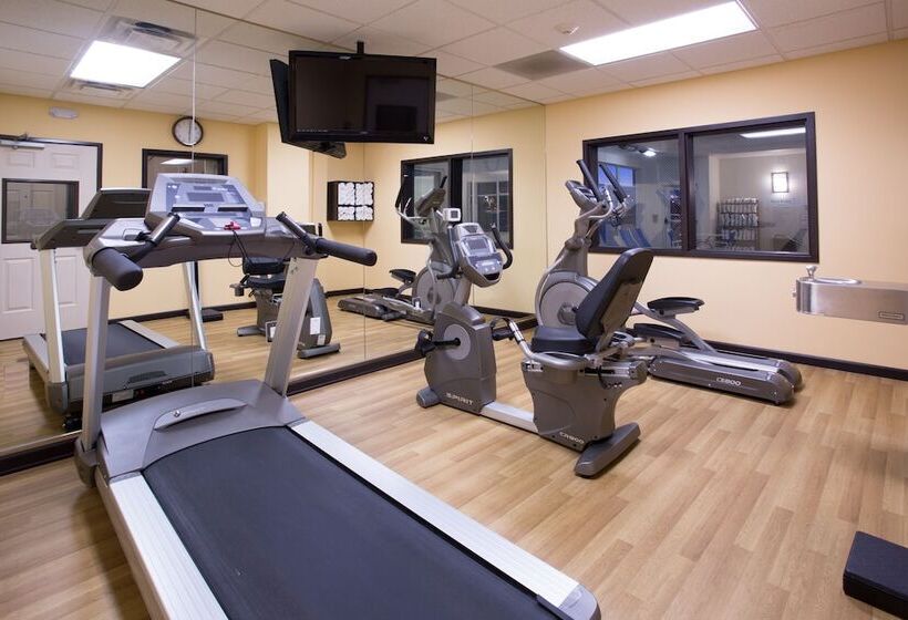 فندق Holiday Inn Express & Suites Denver North   Thornton, An Ihg