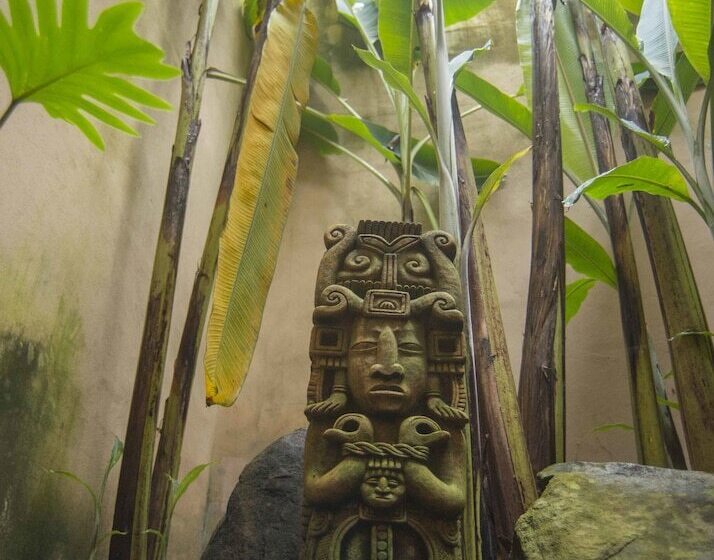 בית מלון כפרי Los Almendros De San Lorenzo