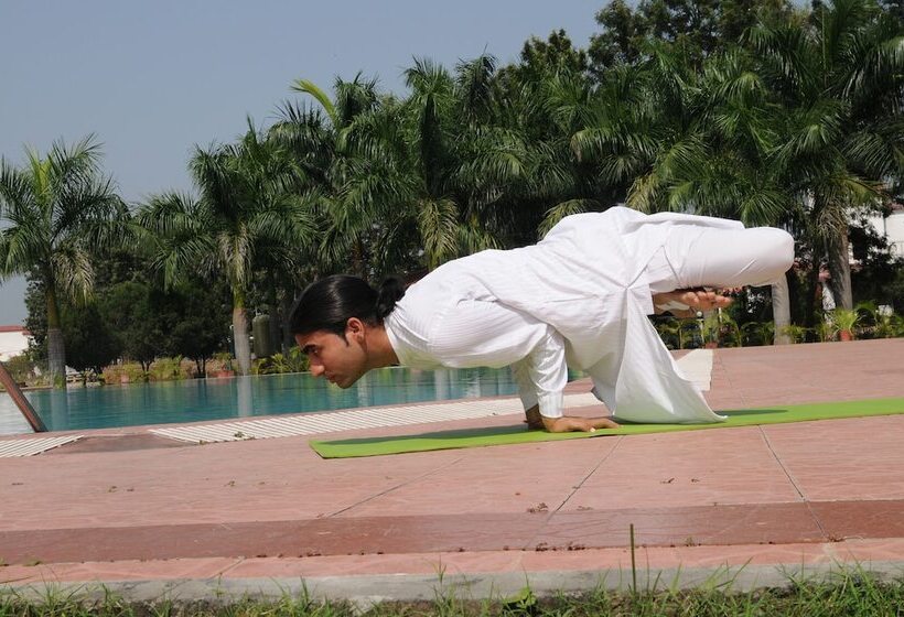 호텔 Naturoville Ayurvedic And Yoga Retreat By Opensky