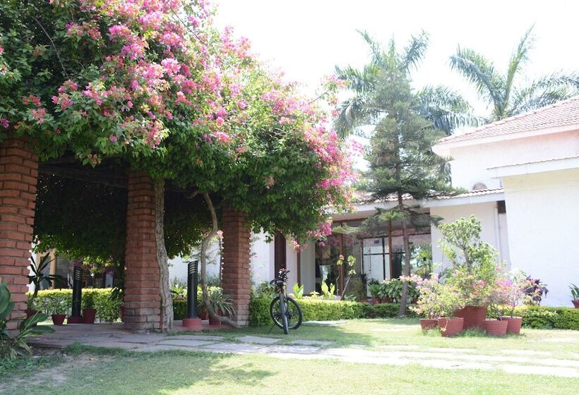 호텔 Naturoville Ayurvedic And Yoga Retreat By Opensky