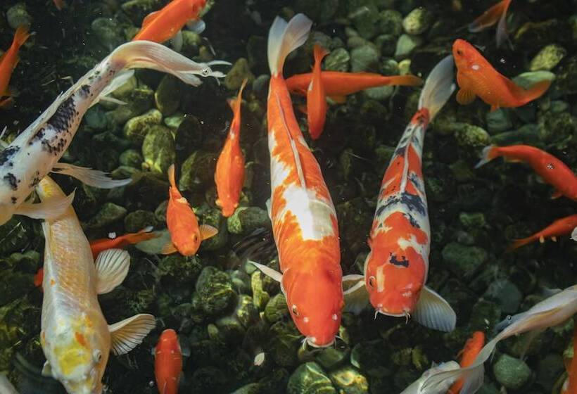 The Parkside Hotel & Spa