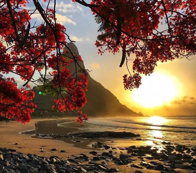 호텔 Pousada Atlântica