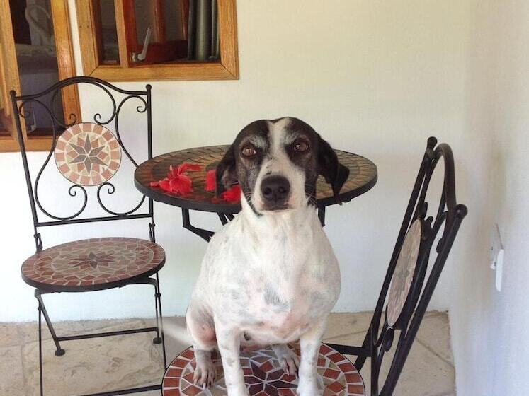 هتل Pousada Villa Caju