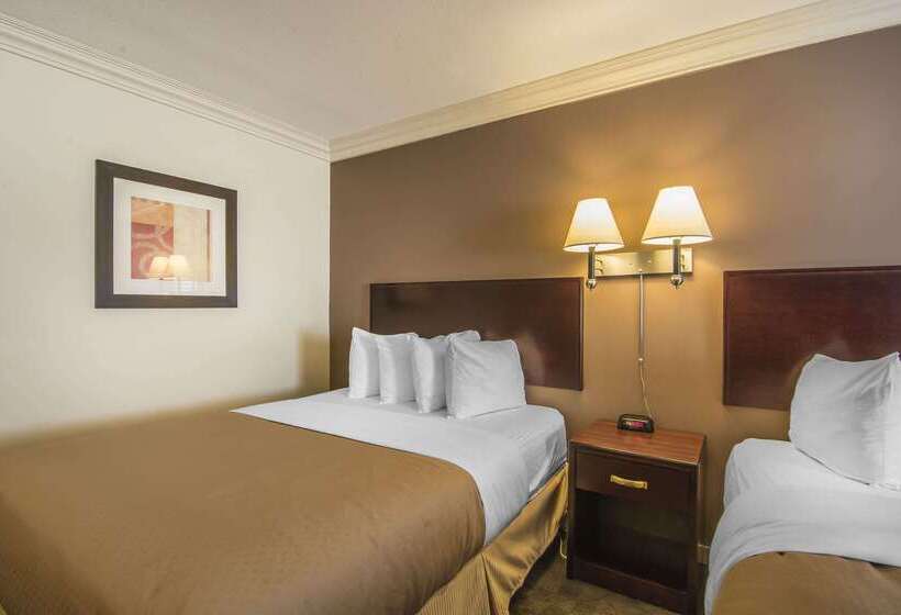 فندق Quality Inn & Suites