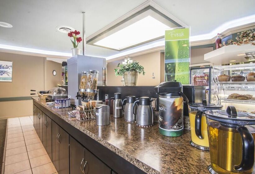 فندق Quality Inn & Suites