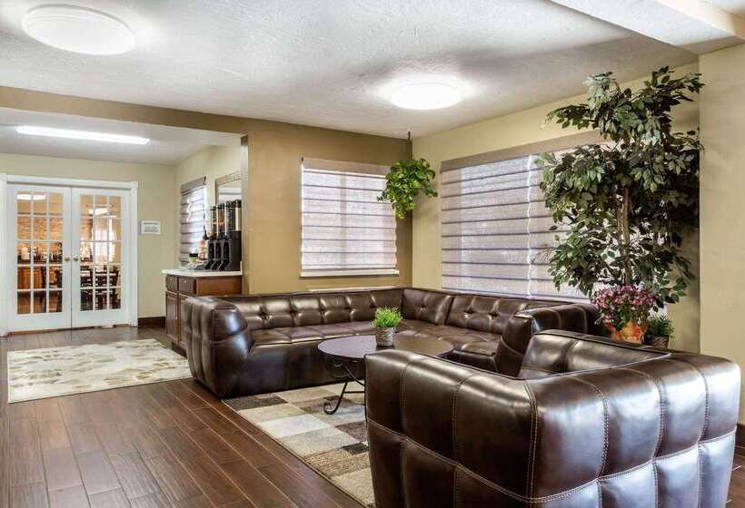 酒店 Quality Inn Downtown